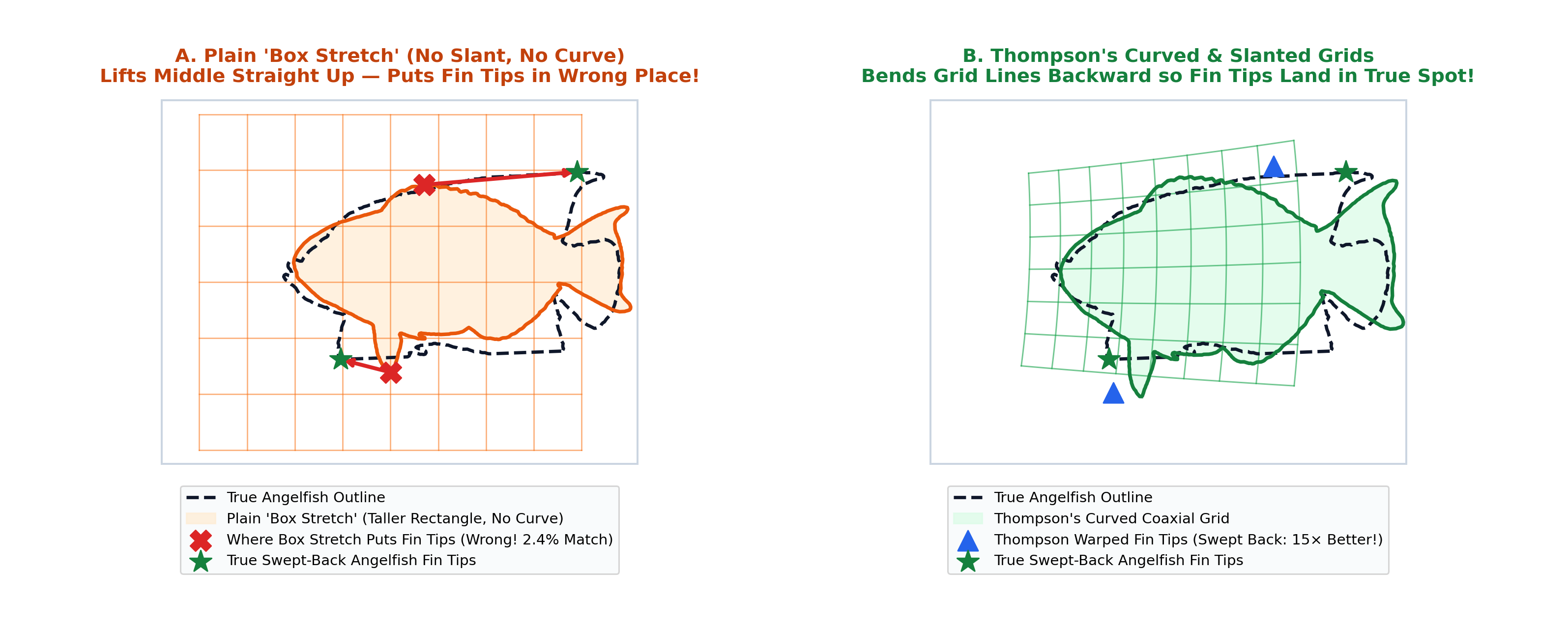 Step 3: Box Stretch vs Thompson's Curved Grids